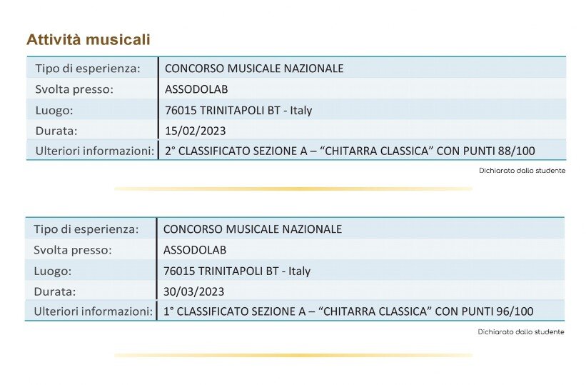 Esempio di un curriculum dello Studente 09 grande immagine